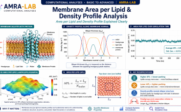 Area per Lipid & Density Profile_AMRA-LAB.