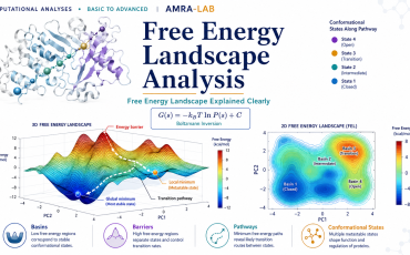 Free Energy Landscape analysis_AMRA-LAB