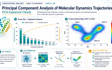 PCA analysis and molecular dynamics breakdown