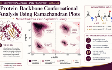 Protein Backbone Conformational Analysis Using Ramachandran Plots