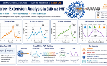 SMD Force and PMF Analysis