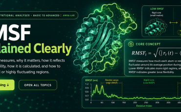 Step-by-step RMSF Analysis & Calculation