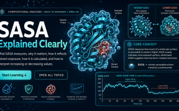Step-by-step SASA calculation