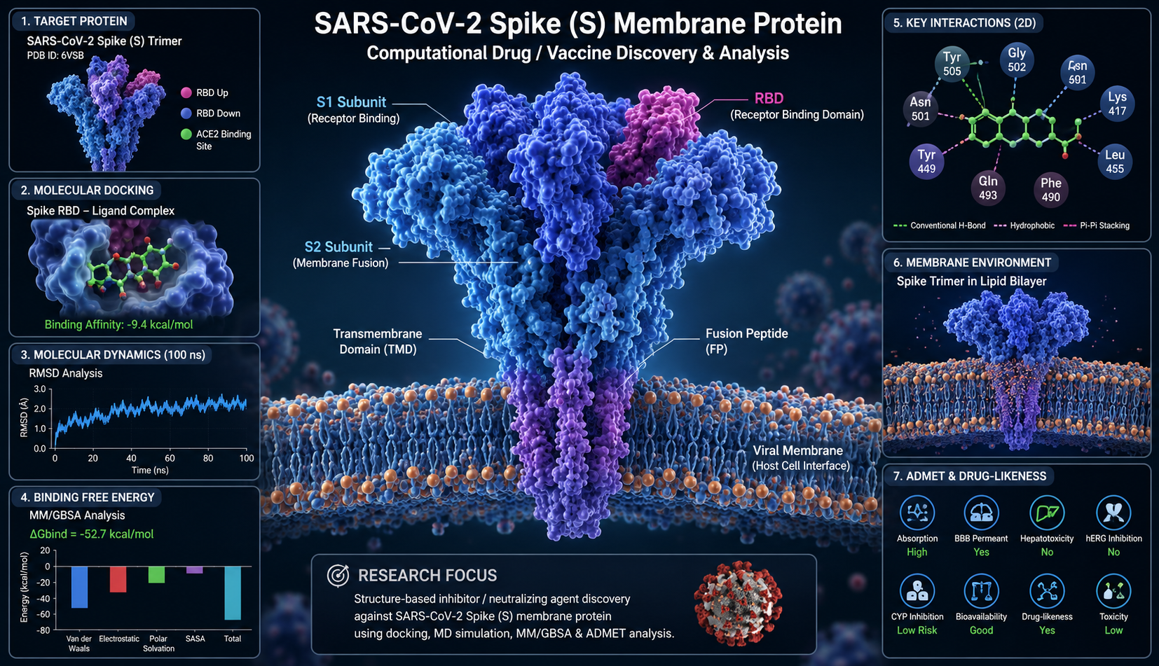 Computational SARS-CoV-2 spike membrane protein research showing spike trimer in lipid bilayer, RBD ligand docking, molecular dynamics RMSD, MM/GBSA binding free energy, ADMET, and key interaction analysis.