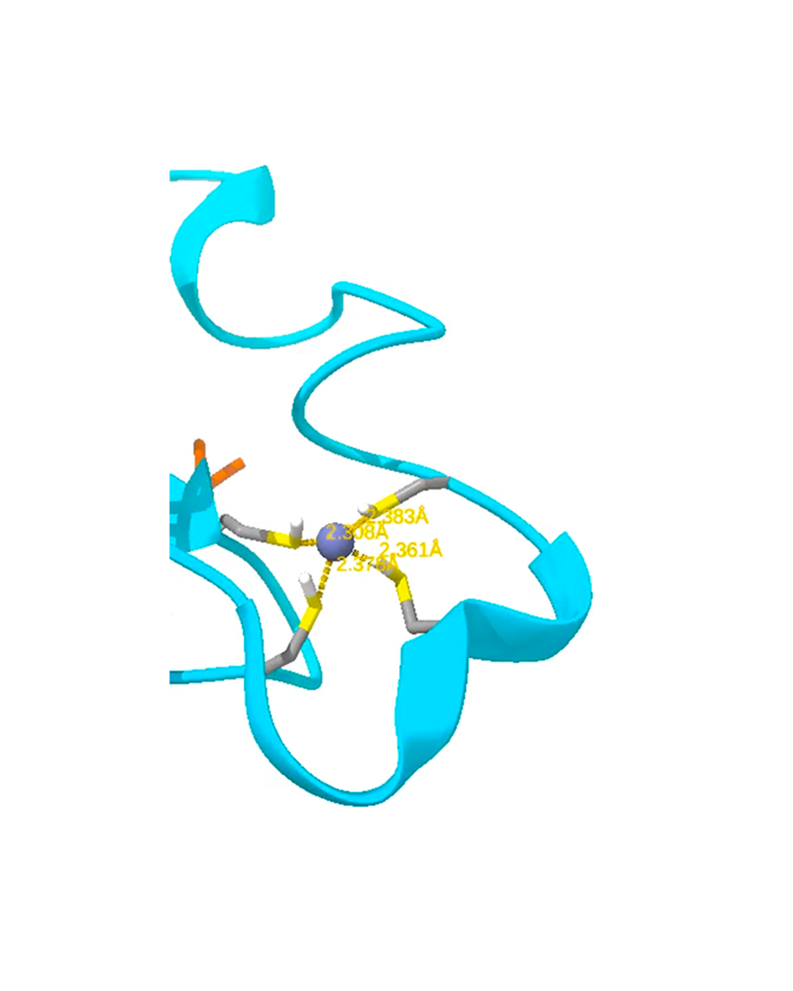 Metalloprotein Simulation