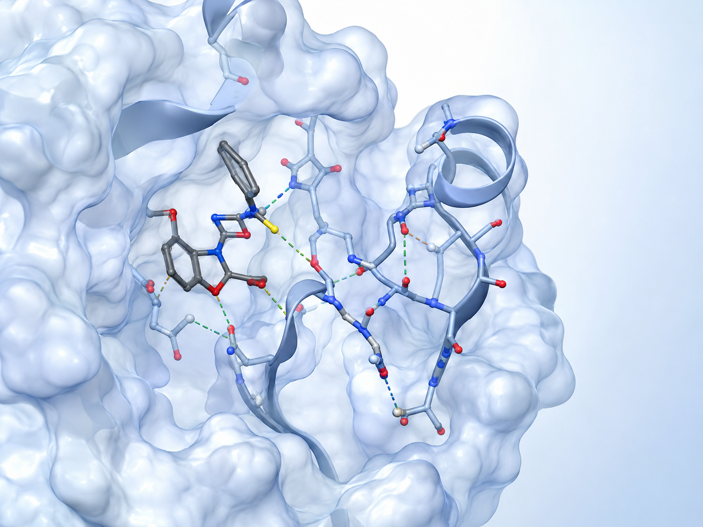 Drug and Peptide Design