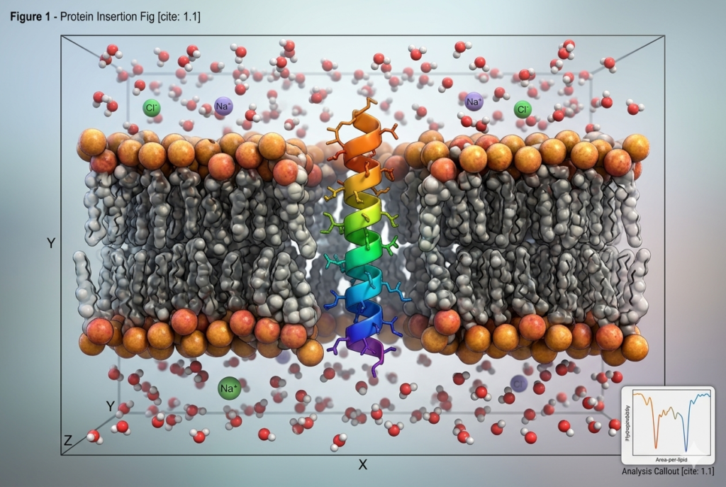 Membrane (Lipid)-Protein Simulation