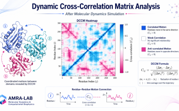 Dynamic Cross-Correlation Matrix Analysis after Molecular Dynamics (DCCM)